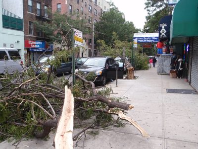 Check out the silver SUV toward the background. Ouch!