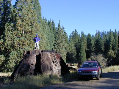 John, the lumberjack.