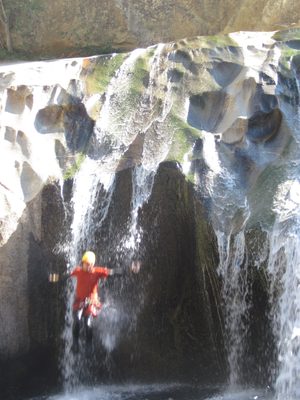 A little blurry, but you get the idea. Very fun!