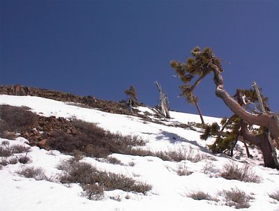 Rachel, crossing a talus slope just north of Alpine Meadows.