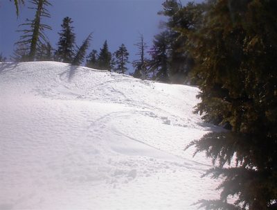 More tracks.