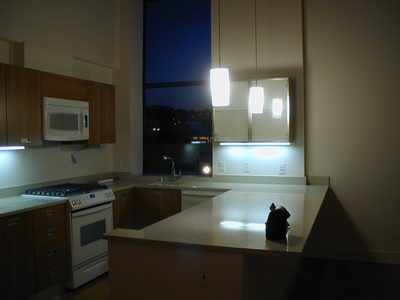 Looking at kitchen from living room.  12+ foot window...