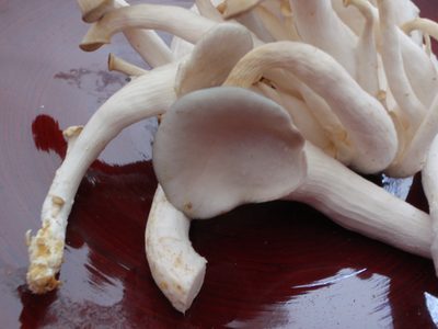 Mushrooms sitting in a bowl.