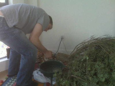 John drills a hole in the bottom of the tree for use...