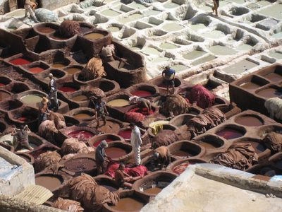 Tanners reducing their life expectancies in a tannery in...