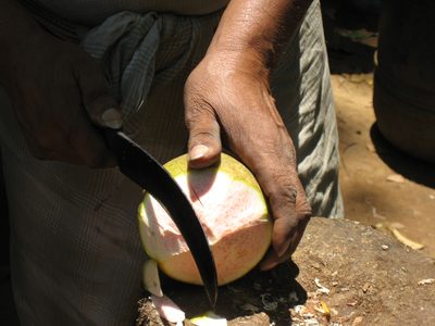 A Sri Lankan man cuts open the young coconut with a machete.