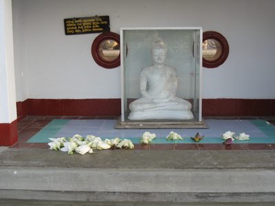 Lotus flowers left for the Buddha.
