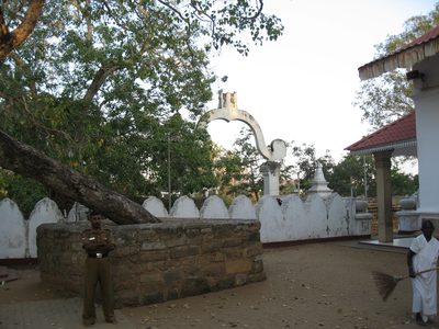 A guard in front of the bodhi tree, which apparently...
