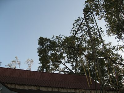 Still, the monks take good care of it, and have erected...