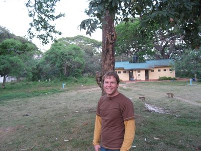 John and Black Faced (and maybe a pink faced) monkeys in...