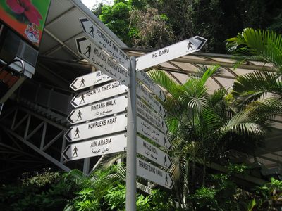 So many choices!  After lunch we decided to walk to a...