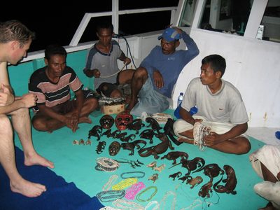 When we come back from snorkeling, we find that the...