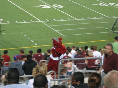 The Round Rock mascot, a dragon.
