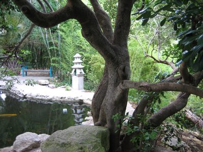 And the trunk of another tree.  While not awesome, the...