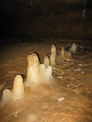Lumpy stalagmites.