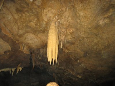 CAVE SQUID!!