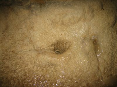 Where the drill hit on cave floor.
