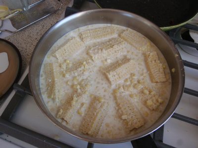 Making fresh corn ice cream!  Corn kernels, corn cobs,...