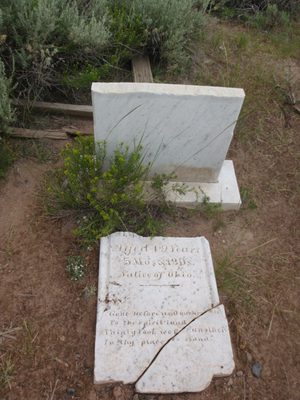 The cemetary was the last stop on our tour. I found it...