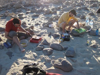 In the morning, Jasper (left) prepares desayuno:...