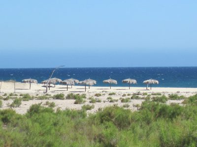 Palapas. Looks very relaxing.