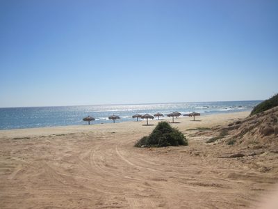 More palapas.