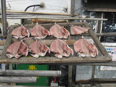 Drying fish at Tai O.
