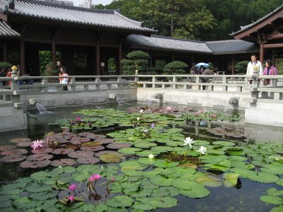 Lily ponds in the Chi Lun Nunnery.