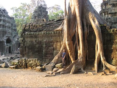 Helena, standing among the roots of a silk-cotton tree...