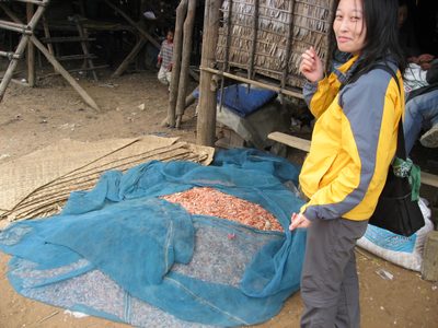 Helena, trying the village catch of dried shrimp at...