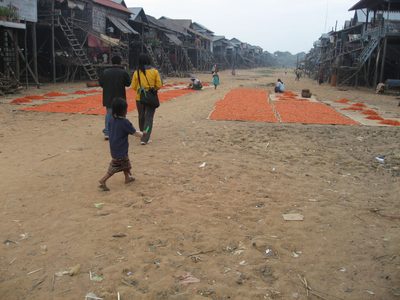 Lots of cooked shrimp, laying out to dry at Kampong Phluuk.