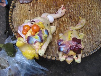 Who knew that the insides of chickens were so brigtly...