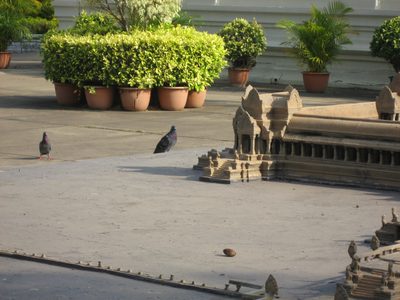Giant pigeons plot their attack of Angkor Wat. 