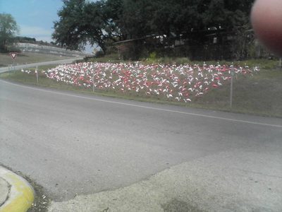 Flock of plastic pink flamingos.  Catherine claims this...