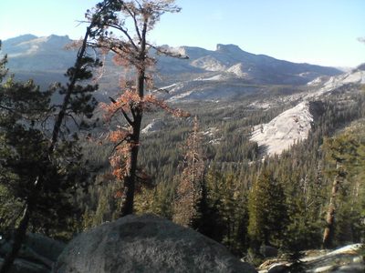Mt. Hoffmann in the background.