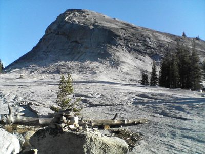 Lembert Dome by morning light.
