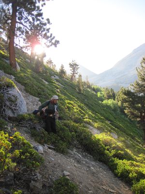 Joel making his way down a steep hillside. Part of the...