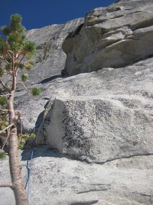 Joel in the shadows, near the top of pitch one.