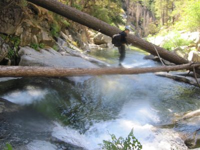 Vinnie crossing the South Branch of the Feather River on a log.