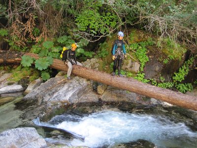 Monica crosses on the log as well.