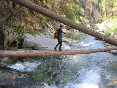 Monica crossing the river on a log.