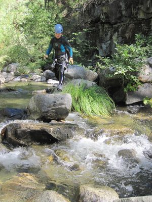 Why swim when you can walk?