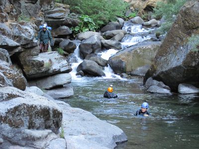 Some swim while others walk.