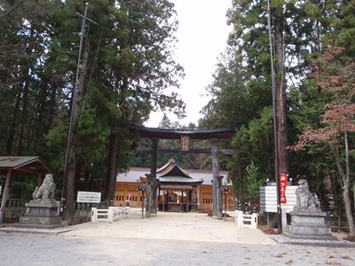 On the way to the wasabi farm, we passed a shrine in the woods.
