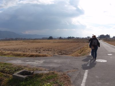 Road to the wasabi farm