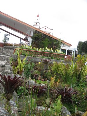 Some gardens at Montserrat.