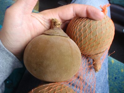 I bought 3 of these for about 75 cents.  Not sure what...