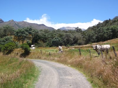 Off on another adventure!  The whole farm stands on the...