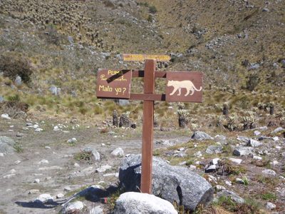 Heh, these cute signs were everywhere.  Pumas are seen...