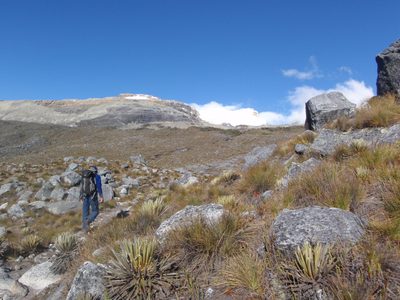 My guide, hiking along in front of me.